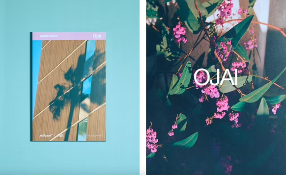 Zara enters publishing together with Wallpaper magazine