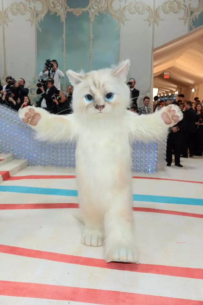 JARED LETO COSPLAYED KARL LAGERFELD'S CAT AT MET GALA 2023