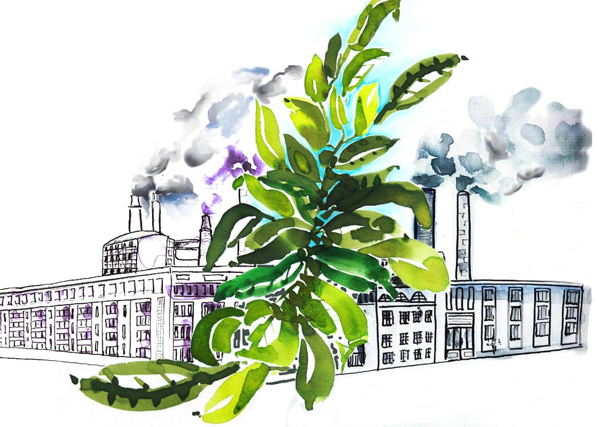 Thumbs up or down? How brands and retailers fared in Greenpeace’s greenwashing study 