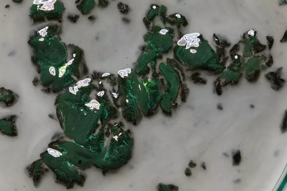 WOULD YOU WEAR A SWEATER MADE OUT OF SEAWEED?