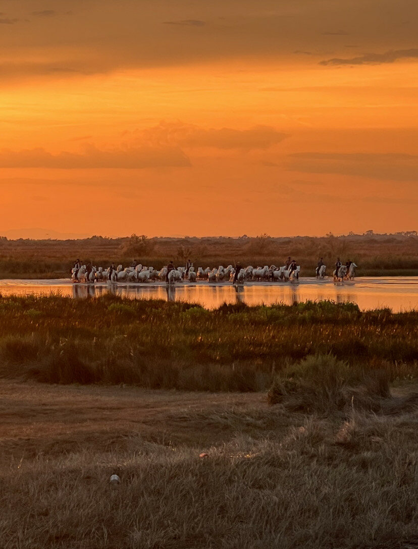 Hermès fetes year of Astonishment in the Camargue Hermès fetes year of Astonishment in the Camargue