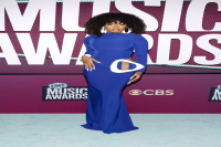 Megan Thee Stallion Paired Her Natural Curls with an Ovary Cutout Gown at the 2023 CMT Music Awards